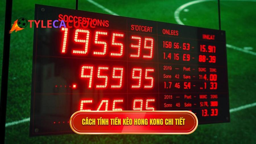 Cách tính tiền trong Kèo bóng đá Hong Kong chi tiết nhất
